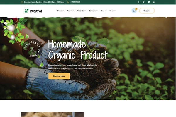 Homemade Organic Products